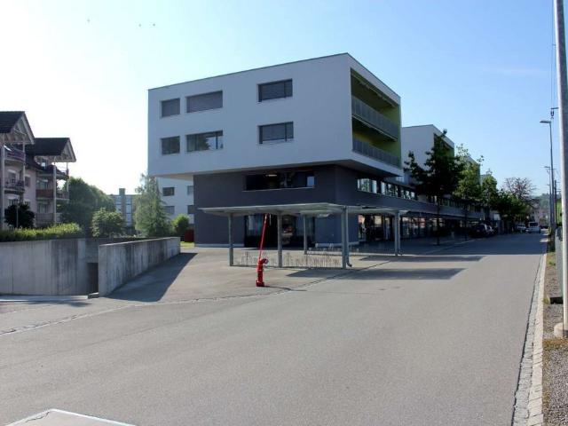 Rent a 3 ½ rooms apartment in Lyss Flatfox