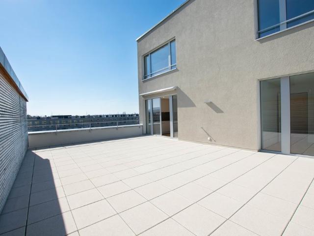 Rent a 3 ½ rooms apartment in Lyss Flatfox