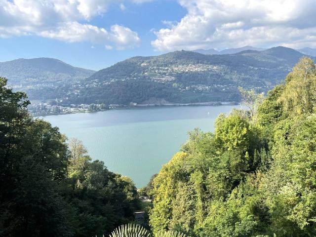 Rent a 3 ½ rooms apartment in Montagnola Flatfox