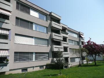 Rent a 3 ½ rooms apartment in Moosseedorf Flatfox