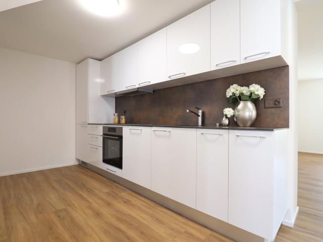 Rent a 3 ½ rooms apartment in Matzingen Flatfox