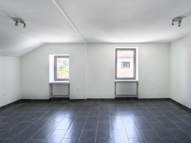 Rent a 3 rooms apartment in Malleray Flatfox