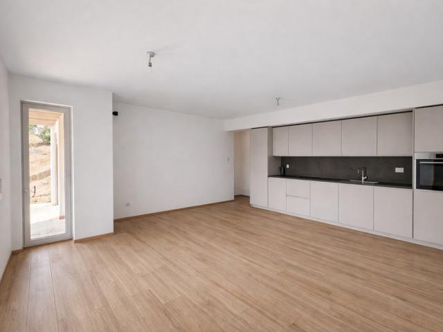 Rent a 3 ½ rooms apartment in Massagno Flatfox