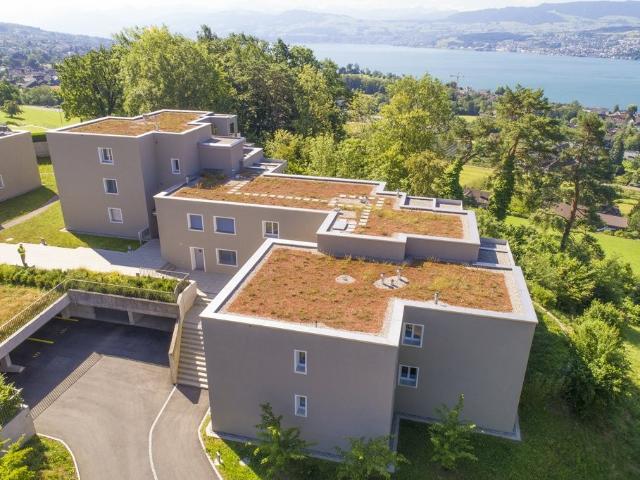 Rent a 3 ½ rooms apartment in Meilen Flatfox