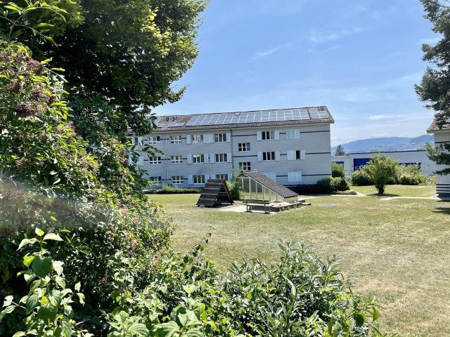 Rent a 3 ½ rooms apartment in Meisterschwanden Flatfox