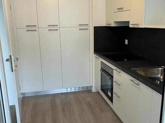 Rent a 3 rooms apartment in Mendrisio Flatfox
