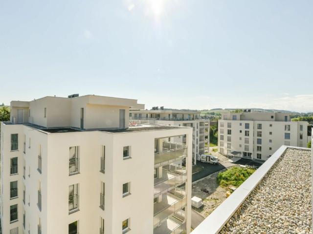 Rent a 3 ½ rooms apartment in Menziken Flatfox