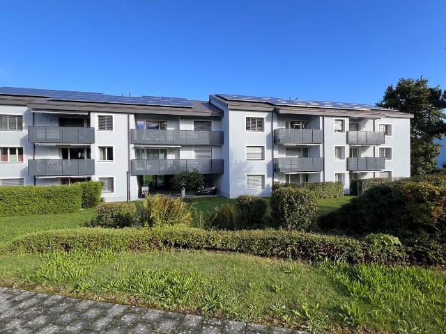 Rent a 3 ½ rooms apartment in Menzingen Flatfox