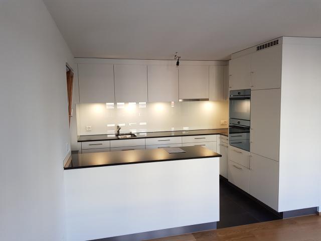 Rent a 3 ½ rooms apartment in Menzingen Flatfox