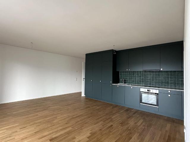 Rent a 3 ½ rooms apartment in Muttenz Flatfox
