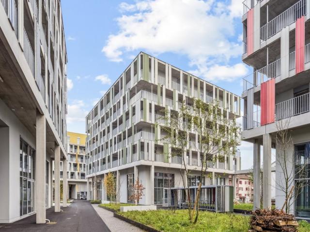 Rent a 3 ½ rooms apartment in Muttenz Flatfox