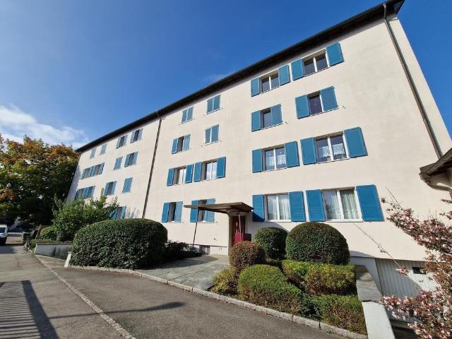 Rent a 3 rooms apartment in Muttenz Flatfox