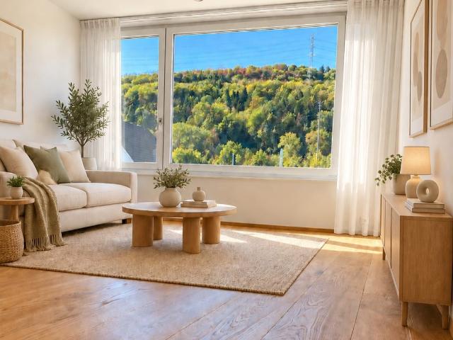 Rent a 3 ½ rooms apartment in Mumpf Flatfox
