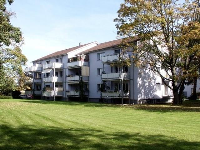 Rent a 3 rooms apartment in Münchenstein Flatfox
