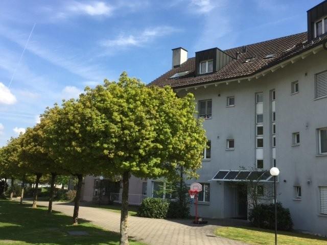 Rent a 3 ½ rooms apartment in Muri Flatfox