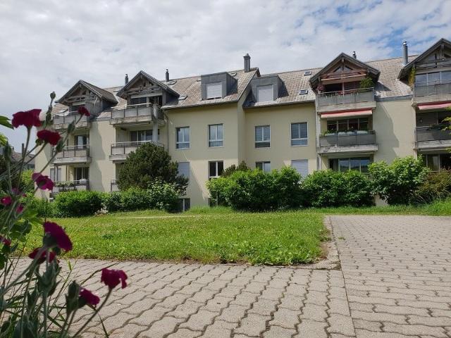 Rent a 3 ½ rooms apartment in Murten Flatfox