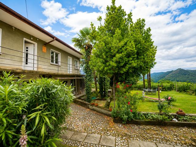 Rent a 3 ½ rooms apartment in Novazzano Flatfox