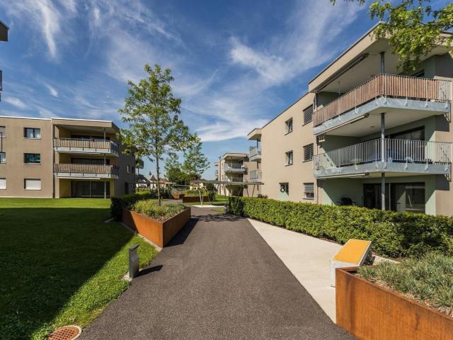 Rent a 3 ½ rooms apartment in Niederbuchsiten Flatfox