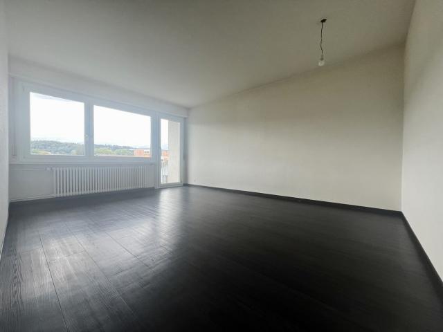 Rent a 3 rooms apartment in Niedergösgen Flatfox