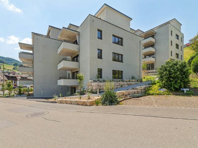 Rent a 3 ½ rooms apartment in Niederdorf Flatfox