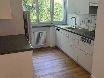 Rent a 3 ½ rooms apartment in Niederlenz Flatfox