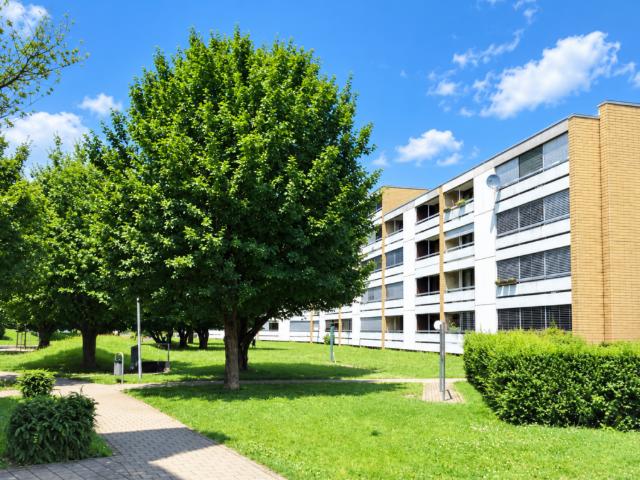 Rent a 3 ½ rooms apartment in Niederlenz Flatfox