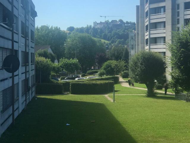 Rent a 3 ½ rooms apartment in Niederlenz Flatfox