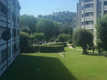 Rent a 3 ½ rooms apartment in Niederlenz Flatfox