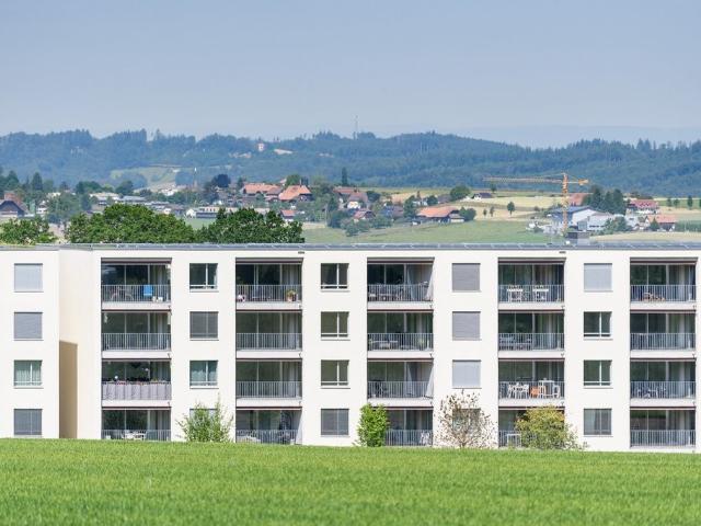 Rent a 3 ½ rooms apartment in Niederwangen BE Flatfox