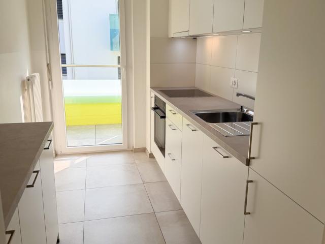 Rent a 3 ½ rooms apartment in Solduno Flatfox