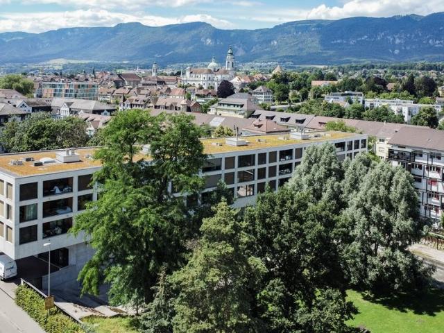 Rent a 3 rooms apartment in Solothurn Flatfox