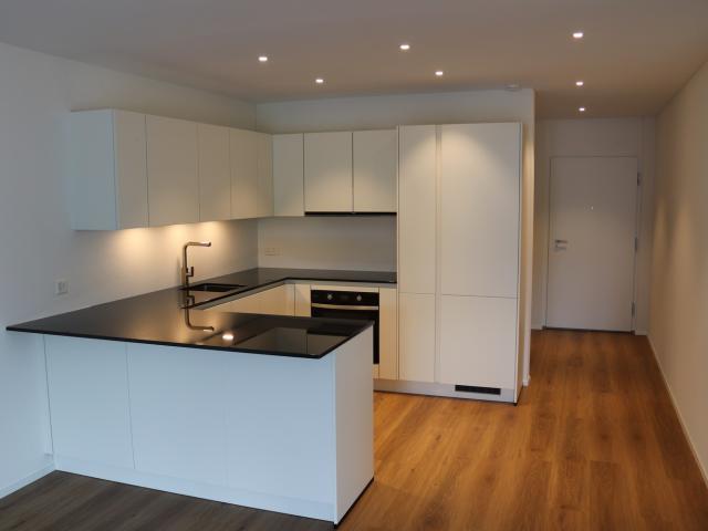 Rent a 3 ½ rooms apartment in Safenwil Flatfox