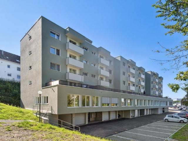 Rent a 3 ½ rooms apartment in Samstagern Flatfox