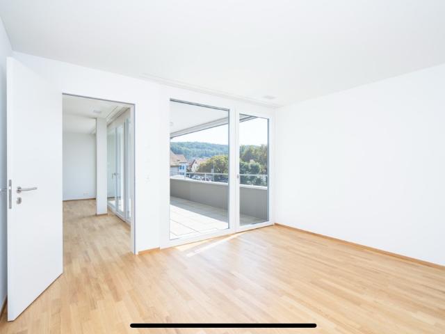 Rent a 3 ½ rooms apartment in Schönenwerd Flatfox