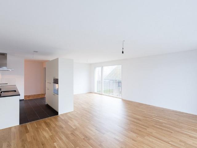 Rent a 3 ½ rooms apartment in Schönenwerd Flatfox