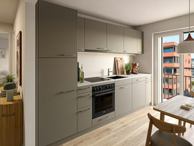 Rent a 3 rooms apartment in Schlieren Flatfox