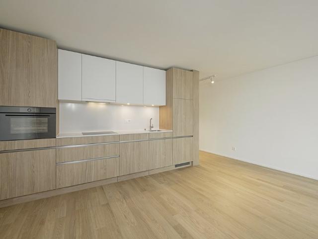 Rent a 3 ½ rooms apartment in Schlieren Flatfox