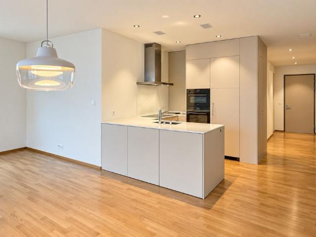 Rent a 3 ½ rooms apartment in Siebnen Flatfox