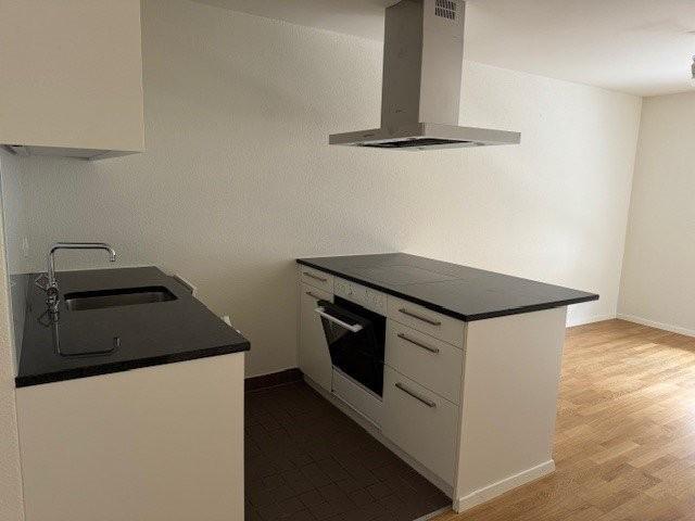 Rent a 3 ½ rooms apartment in Siebnen Flatfox