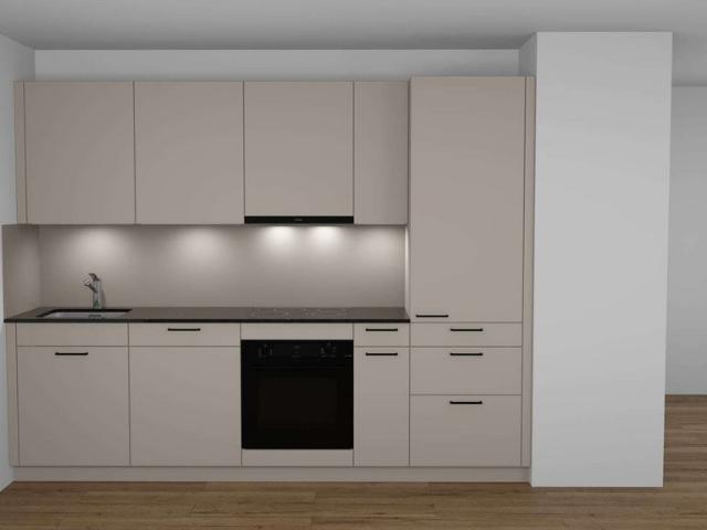 Rent a 3 ½ rooms apartment in St. Gallen Flatfox
