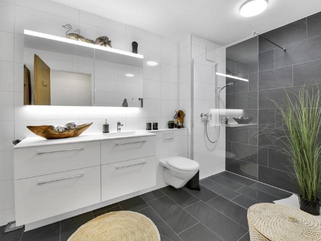 Rent a 3 ½ rooms apartment in St. Margrethen SG Flatfox