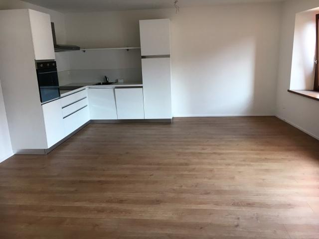 Rent a 3 ½ rooms apartment in Stabio Flatfox