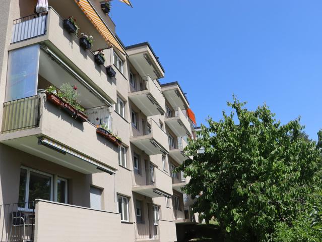 Rent a 3 ½ rooms apartment in Steckborn Flatfox