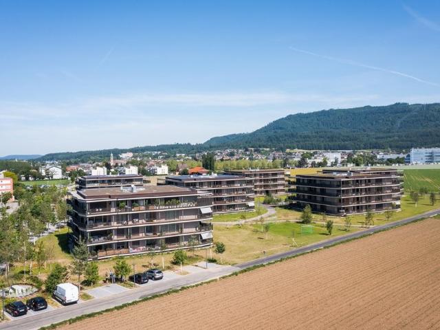 Rent a 3 ½ rooms apartment in Stein Flatfox