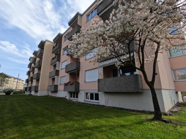 Rent a 3 rooms apartment in Steinach Flatfox