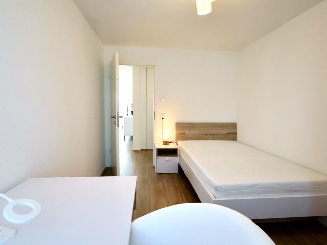 Rent a 3 ½ rooms apartment in Steinhausen Flatfox