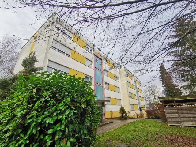 Rent a 3 ½ rooms apartment in Steinhausen Flatfox