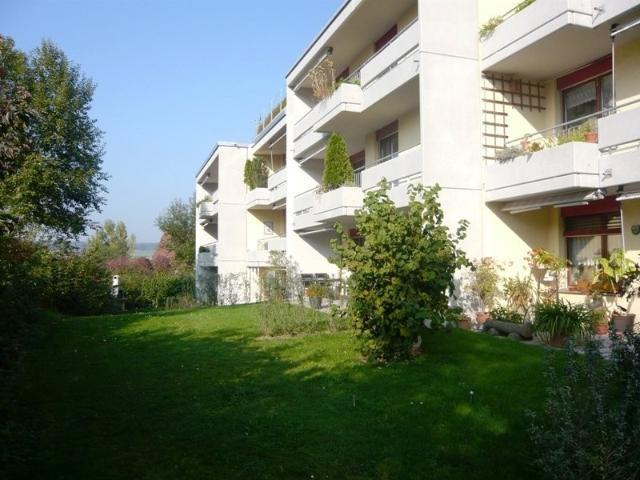 Rent a 3 ½ rooms apartment in Steinmaur Flatfox