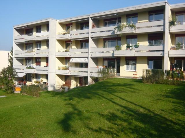 Rent a 3 ½ rooms apartment in Steinmaur Flatfox