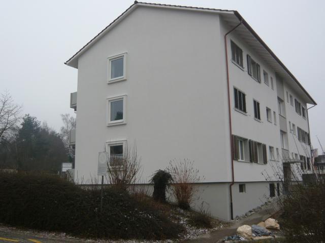 Rent a 3 ½ rooms apartment in Steinmaur Flatfox
